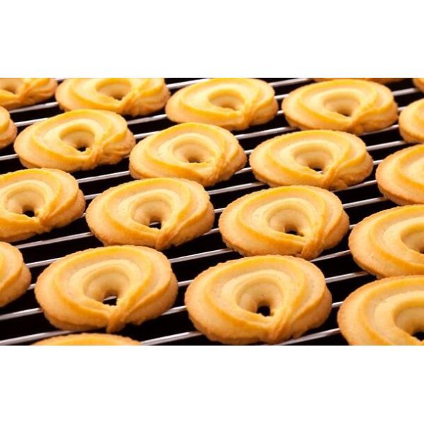 Quest Protein Cookie Chocolate Chip Butter Cookie Machine Jenny Cookie Making Machine 0,75 КВт Сервомотор полуавтоматический