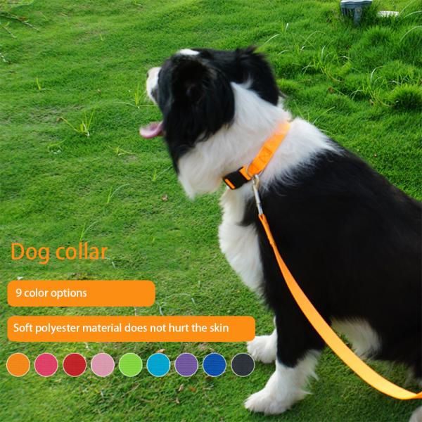 Pet Blank Plain Personalized Nylon Dog Collar Sustainable Dog Leash And Collar