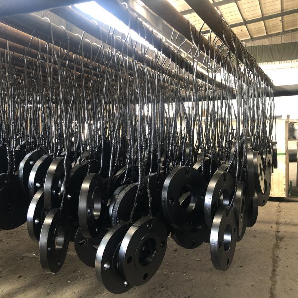 ANSI Forged Carbon Steel Pn10 Welding Neck Blind Pipe Flanges EN 1092-1
