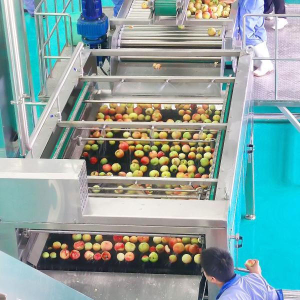 СУС304/СУС316Л завершают технологическую линию Яблока, оборудование фруктового сока