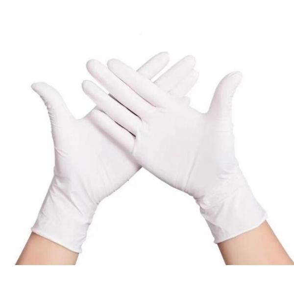 Powder Free Disposable Latex Gloves with Fingertip Textured Grip and CE EN455 Certification