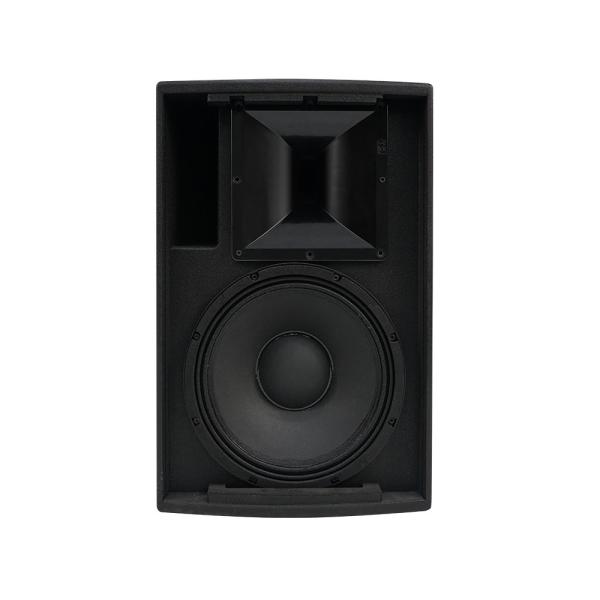 Customized Passive PA Speaker System 15 Inch 500W Low Frequency