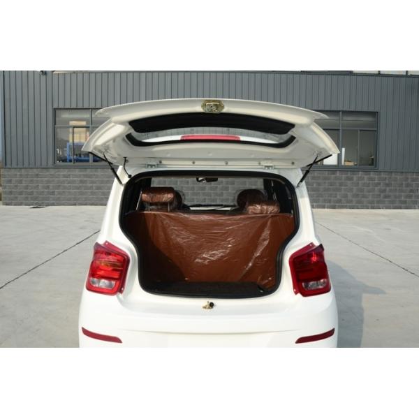 Популярные полностью электрические автомобили с 4 стилем тормоза цвета Ф/Р кожаных мест белым