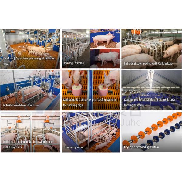 Сталелитейная ферма покупает оборудование для птицеводческой фермы в Индии