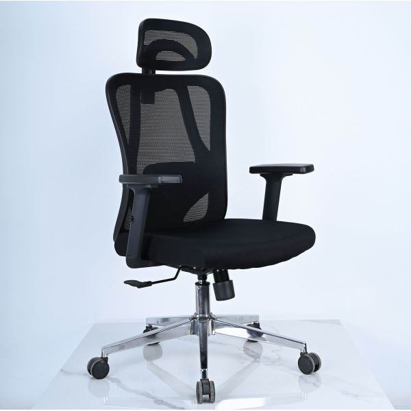 Executive Ergonomic Office Chair with 2D Armrest / 2D Back Lumbar Part