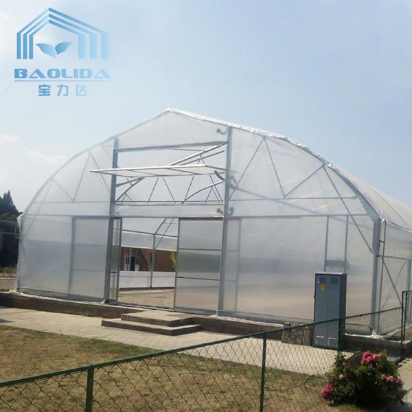 Steel Pipe Dome Metal Hoop Greenhouse Galvanized Prefabricated Single Tunnel Plastic Greenhouse