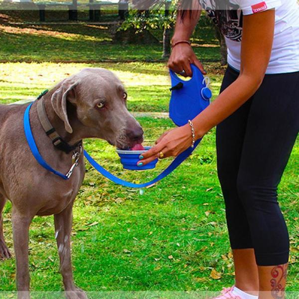 Blue Orange Dog Leash Water Bowl Retractable Nylon Dog Lead With Water Bowl