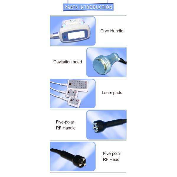 Cryo Cryolipolysis Slimming Cavitation Fat Loss Machine 4 In 1 Low Intensity