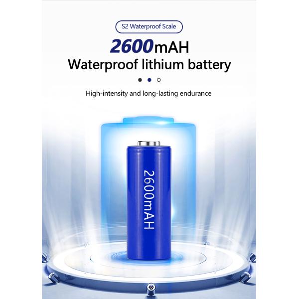 Product Idea 2024 304 Stainless Steel Balance Scale 6KG Maximum Range Unit lb oz g