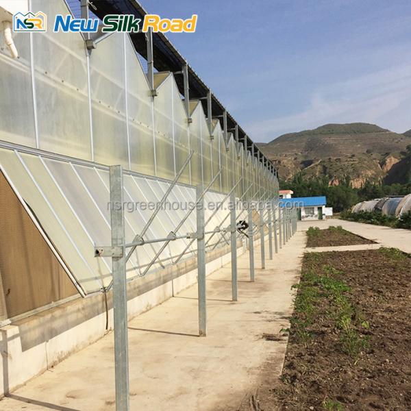 vegetable garden greenhouse frame agricultural greenhouses tunneling polycarbonate greenhouses supplier for plants