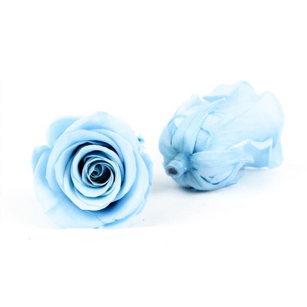 6pcs Long Lasting Diameter 5-6cm Preserved Flower Heads