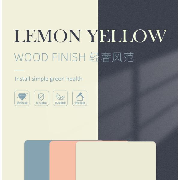 Прямая связь с розничной торговлей фабрики дружественной к Эко и непахучей кожи чувствует панели стены PVC