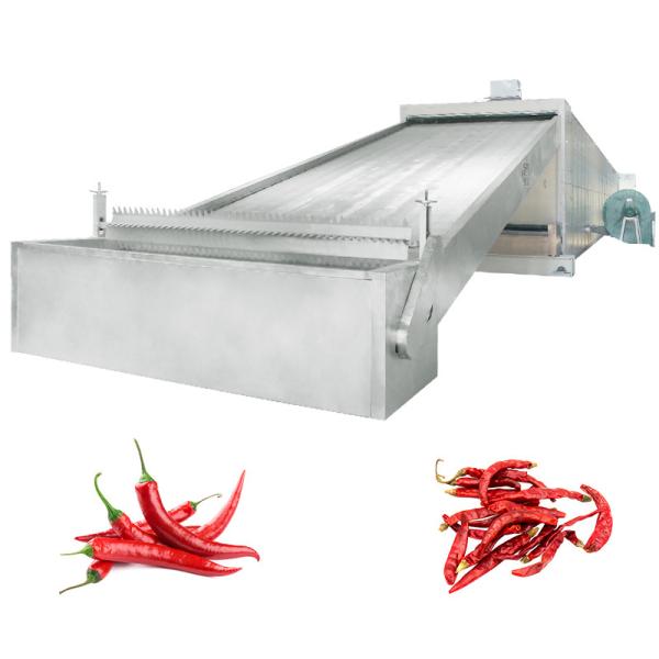 PLC Control Industrial Stainless Steel Mesh Belt Dryer For Irregular Lumps Red Dates