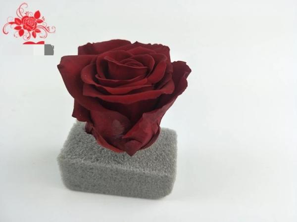 Japanese preserved red rose flowers for wedding flower stands Natural Fresh flower rose