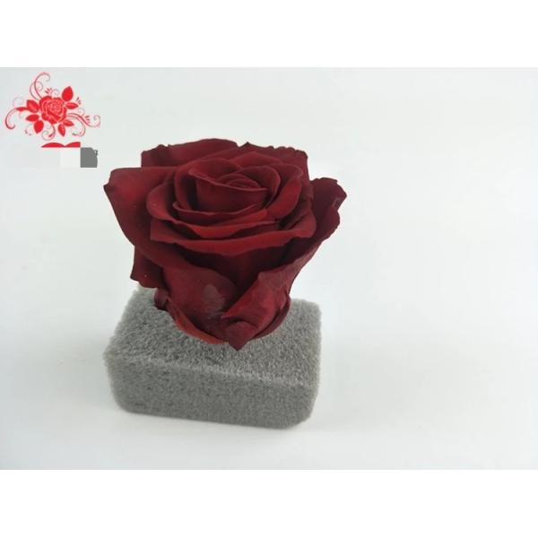 Japanese preserved red rose flowers for wedding flower stands Natural Fresh flower rose
