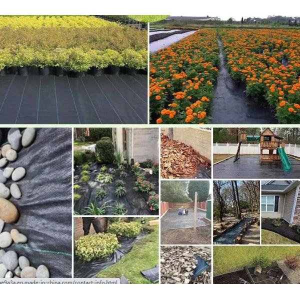 Прочная тяжелая работа с высокой проницаемостью садоводство плевельная ткань тканеная антитравяная земля покрытие плевельная коврик