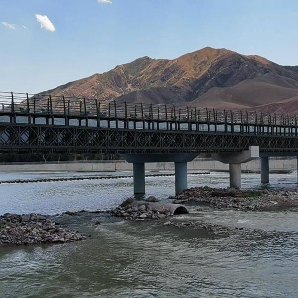Multifunctional Bailey Corten Steel Pedestrian Bridge Metal Foot Bridge