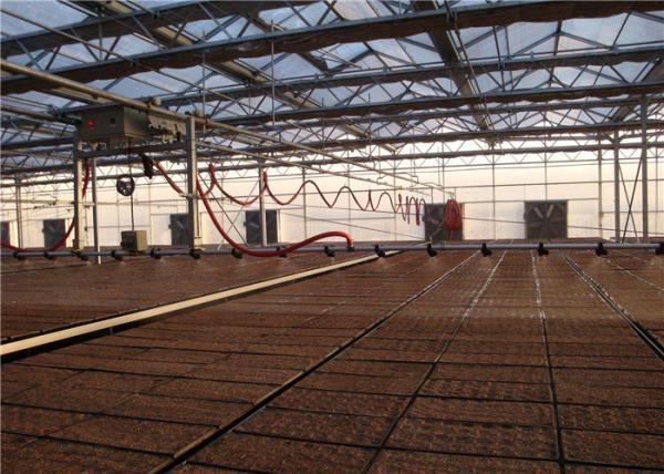 Reducing Labor Greenhouse Drip Irrigation System Long Service Time For Strawberries
