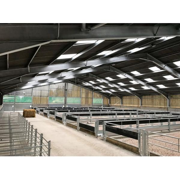 Покрашенные изготовленные коровьи сараи Стальная конструкция Конструкция для конюшен