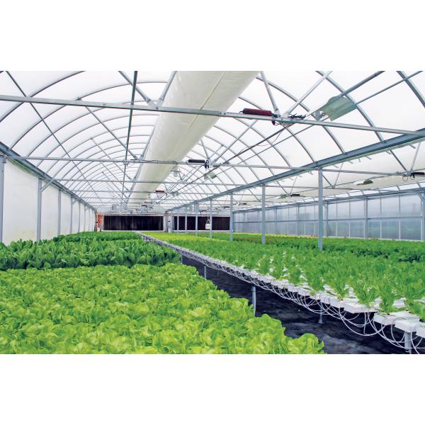 Wholesale Saving-water Hydroponics Vegetables  PVC Nft Hydroponics System For Hydroponic