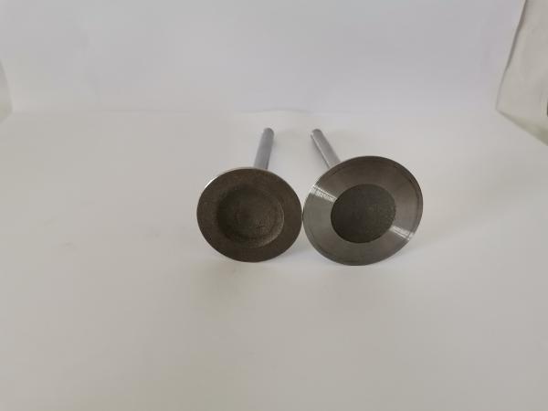 GM VECTRA Automotive Engine Inlet Valves , Car Diesel Engine Parts
