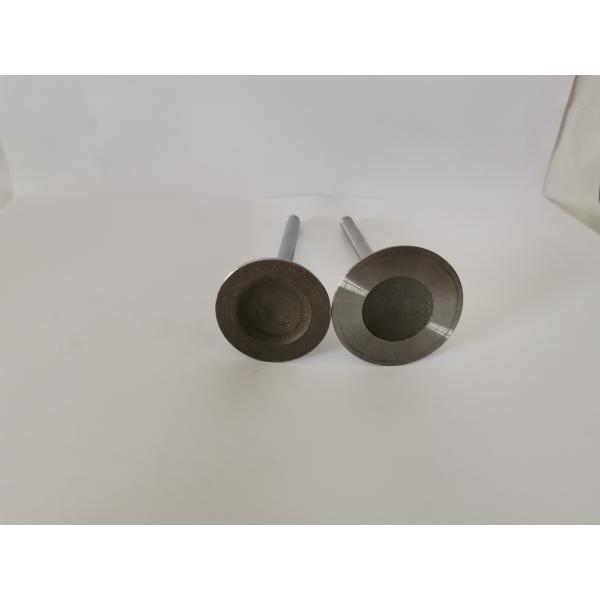 GM VECTRA Automotive Engine Inlet Valves , Car Diesel Engine Parts