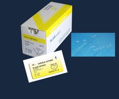 Disposable PLAIN Absorbable And Non-absorbable Surgical Suture(PGA/ PDO/ VICRYL /CATGUT)