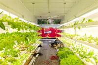 Agricultura hidropônica Casas de contêineres pré-fabricadas Quadro de aço leve Casa modular