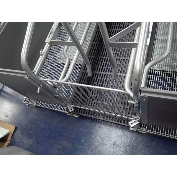 Steel Farrowing crate with galvanized steel materials customized size