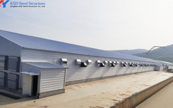 Prefab Steel Structure Poultry Farm House with Q235/Q355 H Section Steel