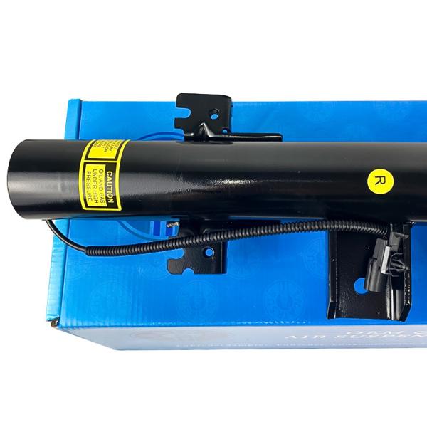 Amortisseur arrière avec amortissement adaptatif pour Land Range Rover Evoque LR079420 LR079421