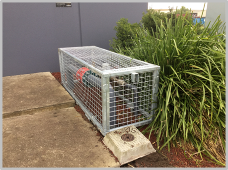 Different Sizes Fuel Storage Cage , Durable Gas Canister Cage Anti Theft