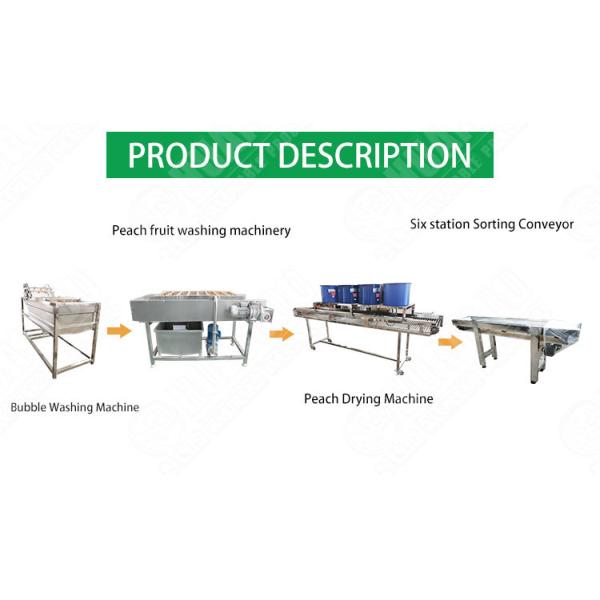Hot selling Provided By Chinese Suppliers Vegetable Cleaning Line by Huafood