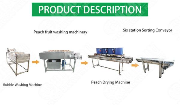 Hot selling The Cheapest Air Bubble Fruit And Vegetable Cleaning Line by Huafood