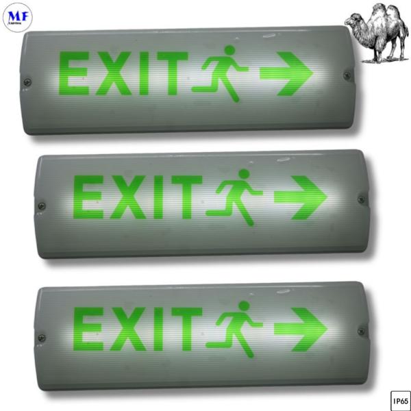 Señal de salida / CE 8W IP65 AC220V-240V Luz de emergencia LED de mamparo recargable con batería a prueba de agua para oficina, fábrica, hotel, estacionamiento