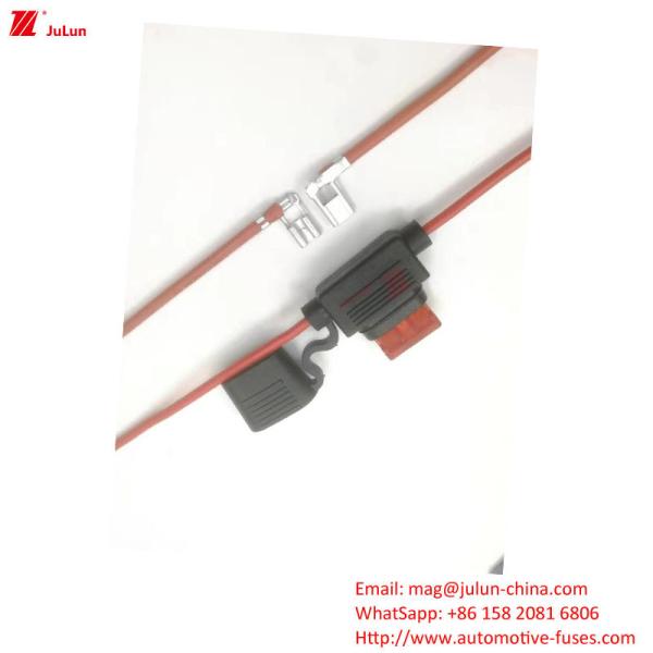 Automotive One/Two Poles Thermal Electric Circuit Protection Manual Reset For Electric Vehicles