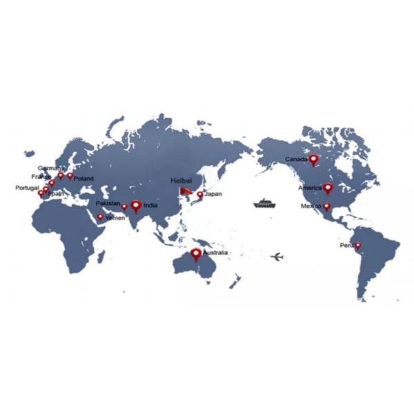 Biodegradable Plant Fiber Wood Cellulose Fiber Onsite Inspection