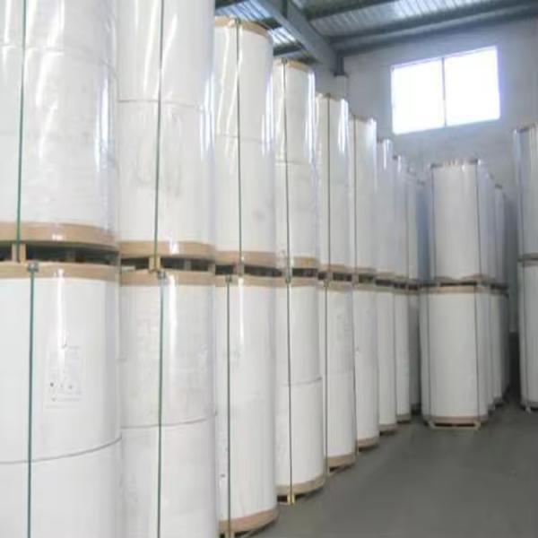 270g PE Coated SBS C1S FBB Ivory Board Paper for Invitation Cards