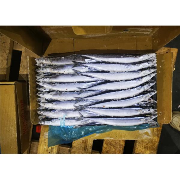 сайра 90g 100g здоровая Cololabis Saira замороженная Тихая океан