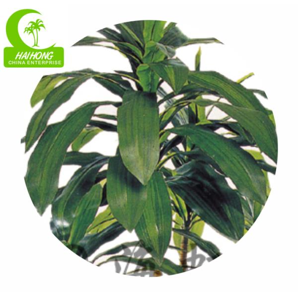 Dracaena имитационных бонзаев высококачественный искусственный с реальными листьями касания для горячей продажи