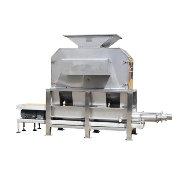 SUS304 Orange Jam Marmalade Fruit Processing Line