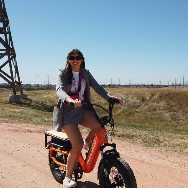 Family 48V 250W Lithium Battery Disc Brake Aluminum Alloy Frame Electric Cargo Bike Front Box Long Tail Brushless Motor 7-Speed