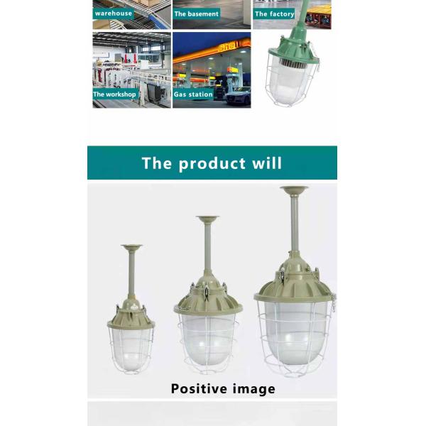 200w Explosion-proof LED Bulb for Indoor/Outdoor in Chemical Plants Lighting Fixture