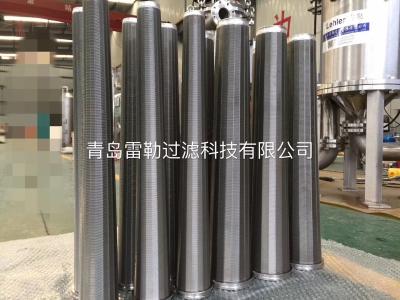 RF10 300 Micron Slot Conical Wedge Wire Filter Elements