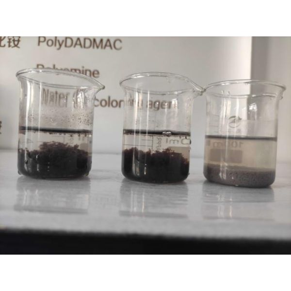 Flocculant Polymer Powder Anionic Polyacrylamide Raw Water Treatment Chemicals