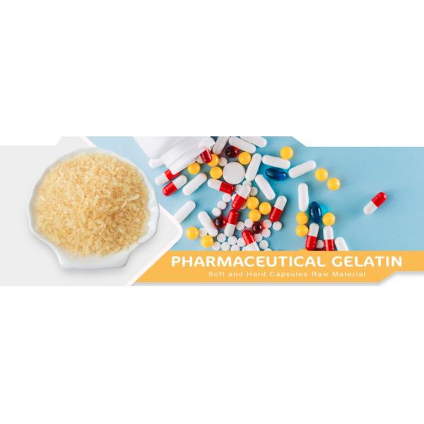 Capsules molles Gélatine dans l'islam 130-210 Gélatine pour les musulmans