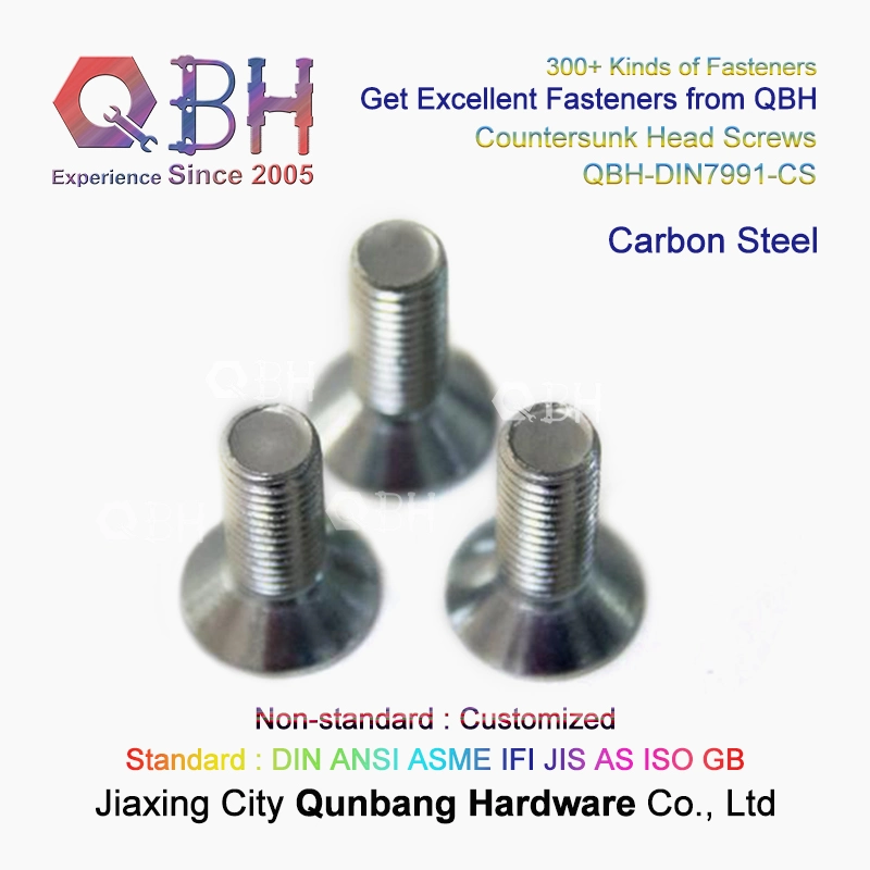 Countersunk Hex Socket Sink Head Screw Qbh DIN7991 SUS 304 / 316 Stainless Steel Cks