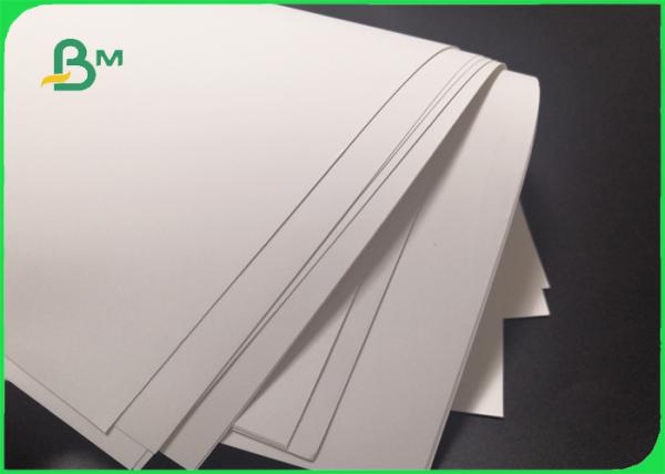 papel de 190mic Matte Polypropylene PP para o cartaz não - 500 * 800mm Tearable