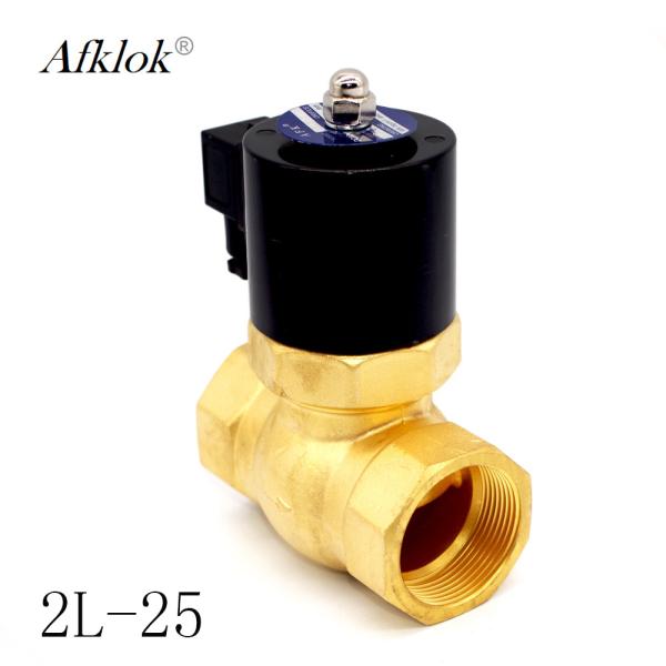 Tipo piloto válvula de verificação do vapor, C.A. 380V 220V 36V da válvula de ar do vapor