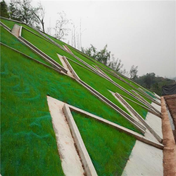 Трехмерный контроль эрозии Черно-зеленый пластиковый геомат для сельского хозяйства